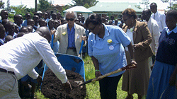 ナイジェリア・ラゴスで植樹活動
